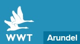 WWT Arundel